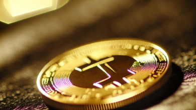 2026년 1분기, XRP·비트코인·이더리움 최고가 재도전의 신호탄