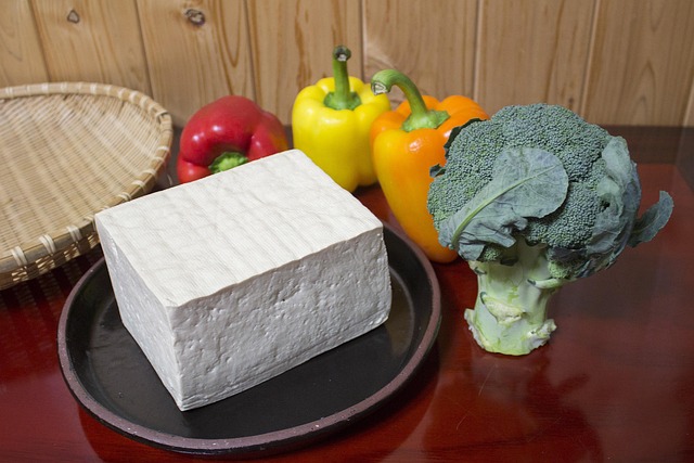 그릇에 담긴 순두부, 강릉 초당순두부 관련 자료사진