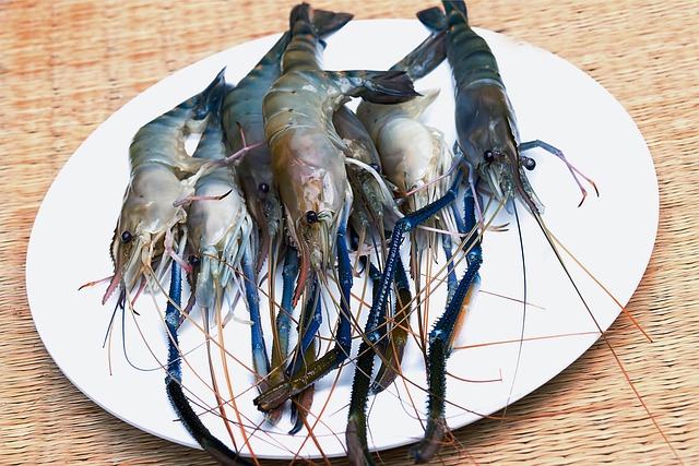 새우. 자료사진