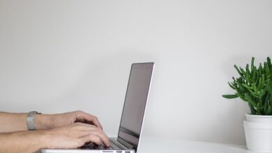 노트북으로 온라인 원서를 작성하는 손, 2027학년도 서울대 수시 마감 전날 자료사진