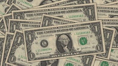FOMC 동결 결과 기사 자료사진, 미국 1달러 지폐 더미
