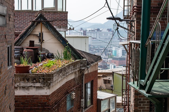 연립·다세대 주택가 자료사진