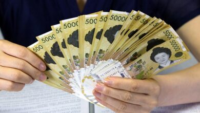 원달러 환율 2024년 10월 이후 최저 자료사진, 5만원권 지폐 다발
