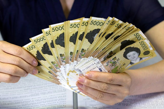 원달러 환율 2024년 10월 이후 최저 자료사진, 5만원권 지폐 다발